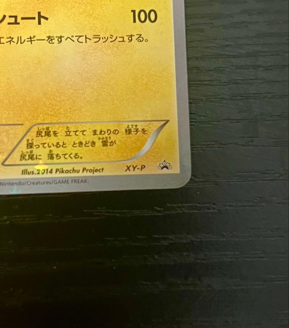 XY-P ピッチのピカチュウ_Jリーグ「ファミリー Joinデイズ」 笑顔版 …