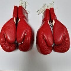 Winningジュニア用グローブ（２セット）