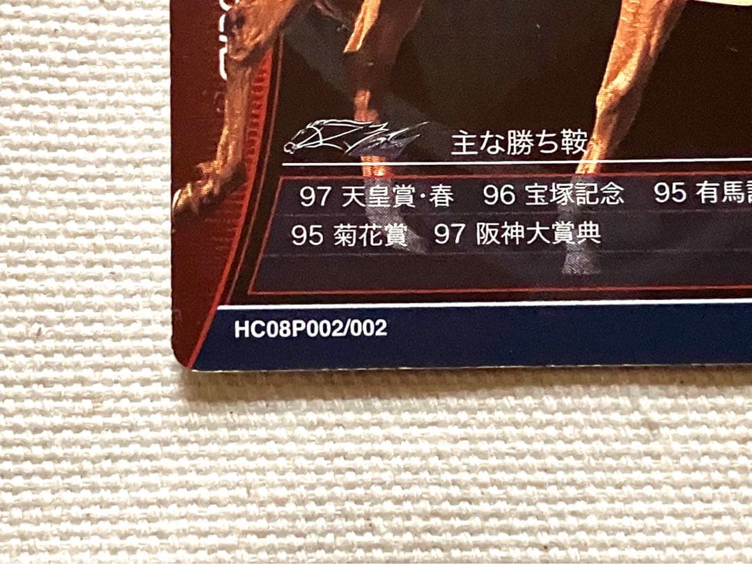 ホースライダーズ　マヤノトップガン