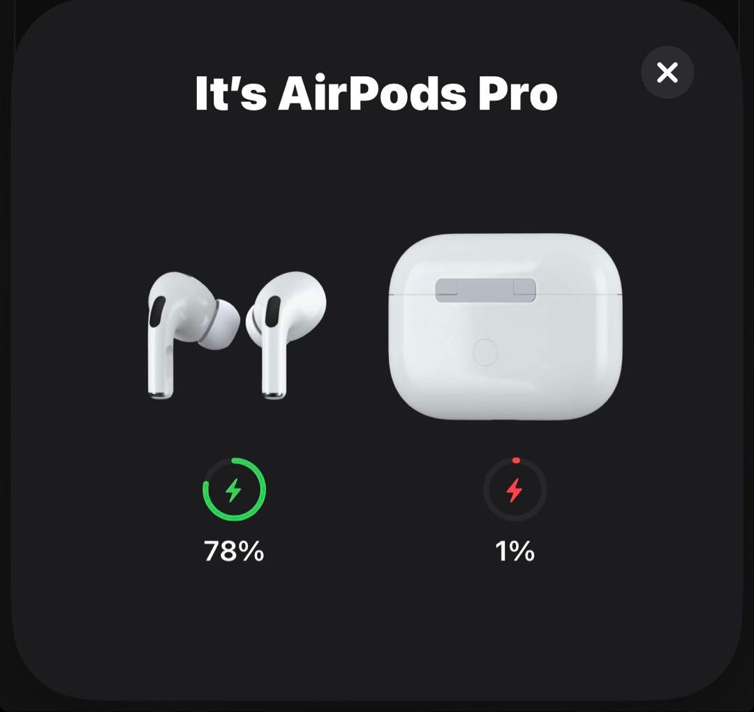 と*わ様 Apple AirPods Pro 第2世代 Lightning
