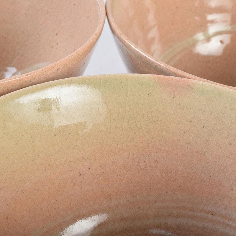 茶道具　阿漕窯　福森円二造　御本　刷毛目　数茶碗　十客　共箱　M　R9298H