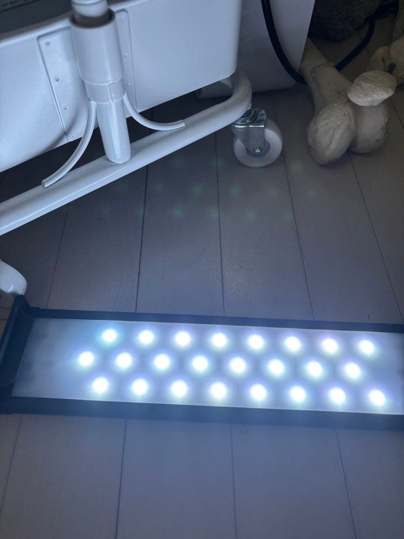 dooa パルダライト30