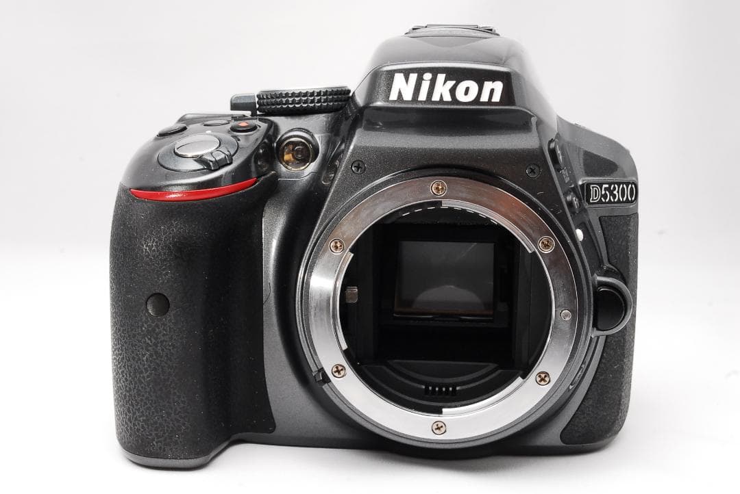 スマホ転送OK♥希少なグレー♥ダブルズーム♥ Nikon D5300