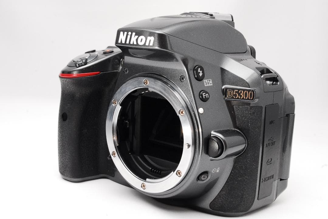 スマホ転送OK♥希少なグレー♥ダブルズーム♥ Nikon D5300