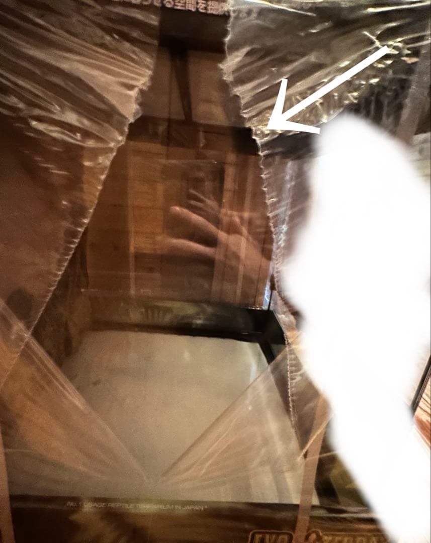 エキゾテラ グラステラリウム4545 PT2605