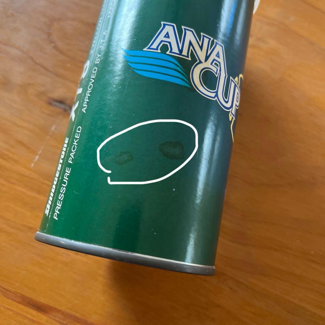 値下げしました！ブリヂストン XT8 テニスボール 2個入り缶