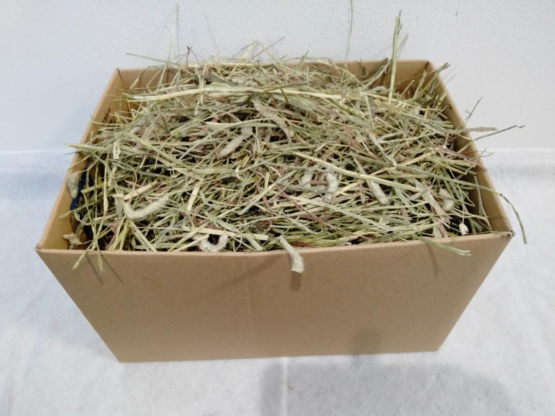 【1/14まで】 カナダ産 チモシー 50kg スーパープレミアム １番刈り