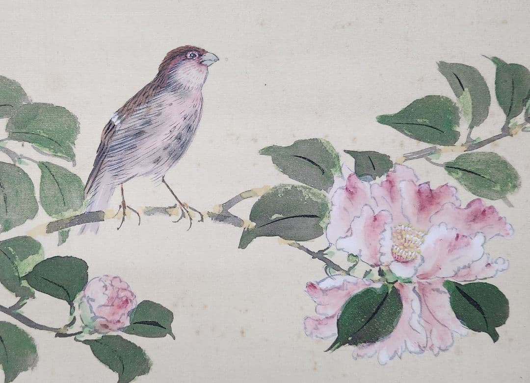 【牡丹に雀図】結城素明 2656 ボタン 掛け軸　肉筆