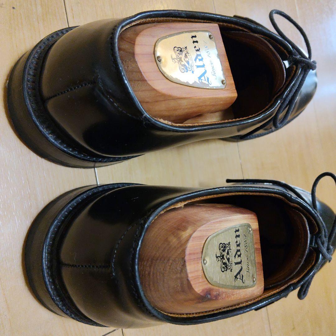Alden 9901 オールデン コードバン プレーントゥ　7