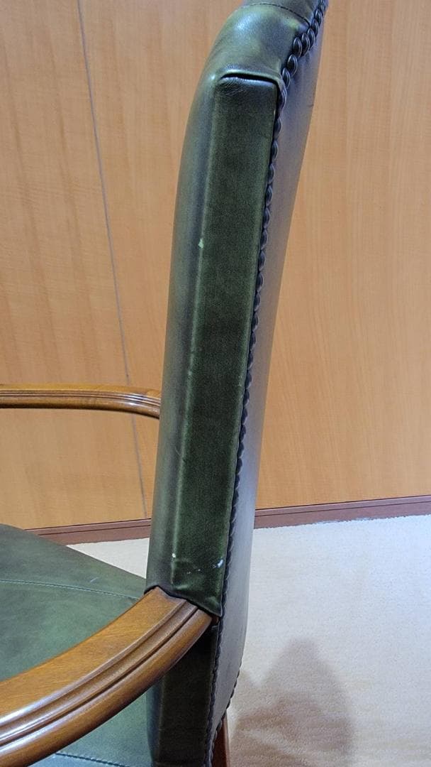 [レア色]　カクトワールチェア149/00