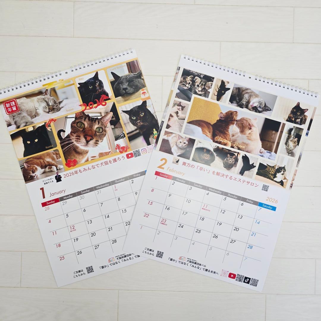 ②《猫》壁掛けチャリティーカレンダー5枚セット