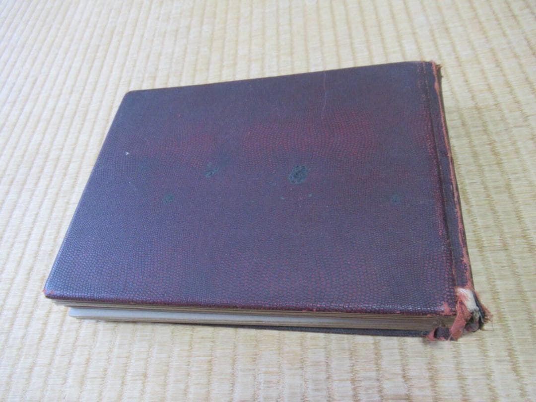 非売品 大正時代◆「オリエンタルの印画紙」美人サンプル生写真30枚収納アルバム帖