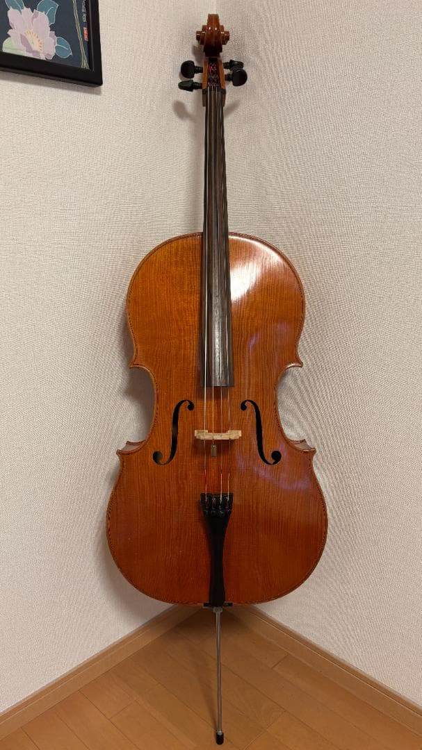 【専用】Pygmalius(ピグマリウス) チェロ ST302