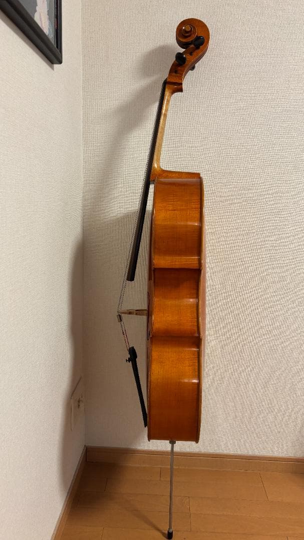 【専用】Pygmalius(ピグマリウス) チェロ ST302