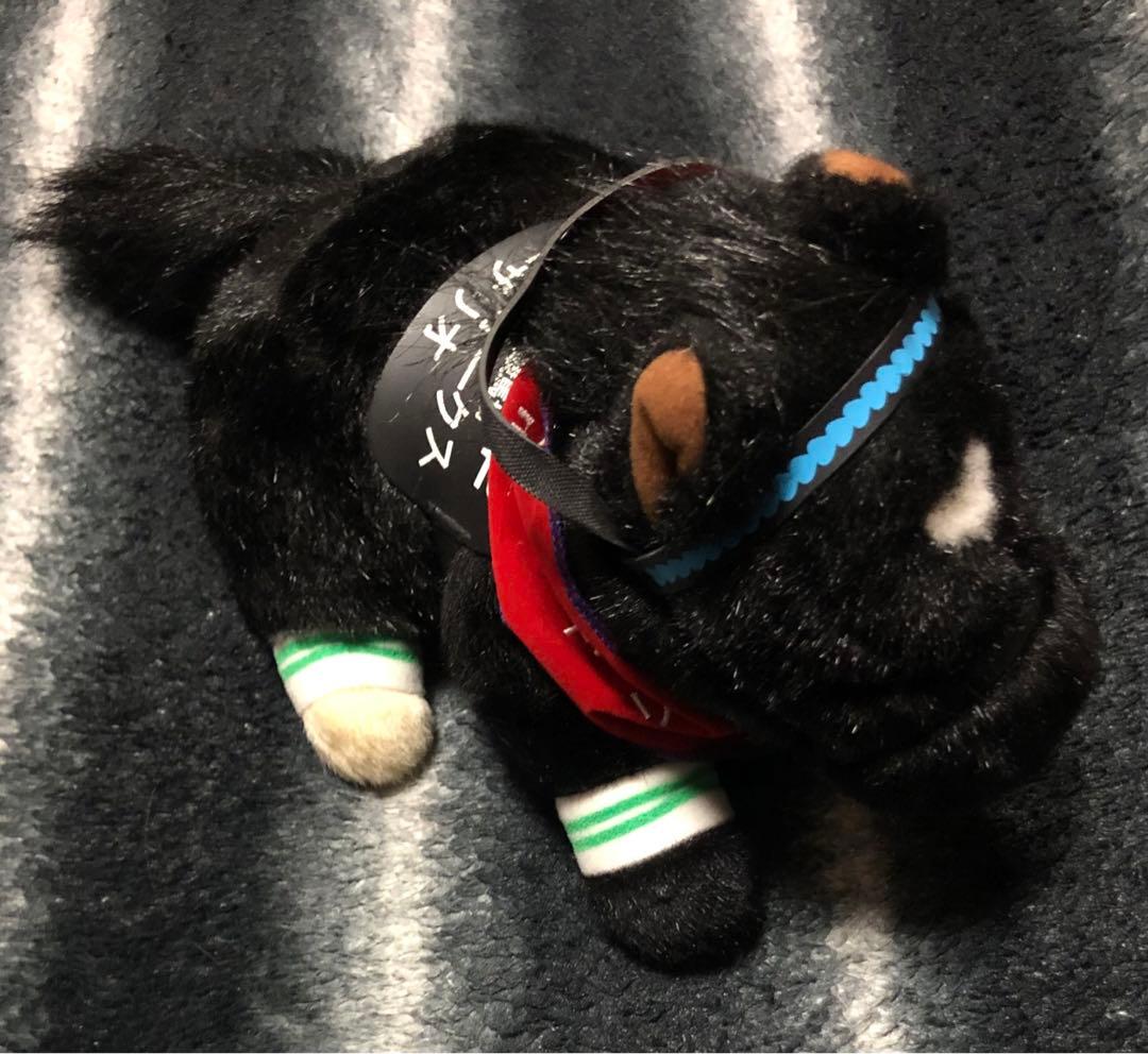 シーザリオ アメリカンオークスぬいぐるみ AVANTI ウマ娘 新品未使用