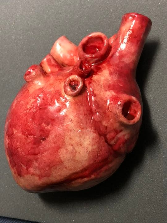 リアル　心臓