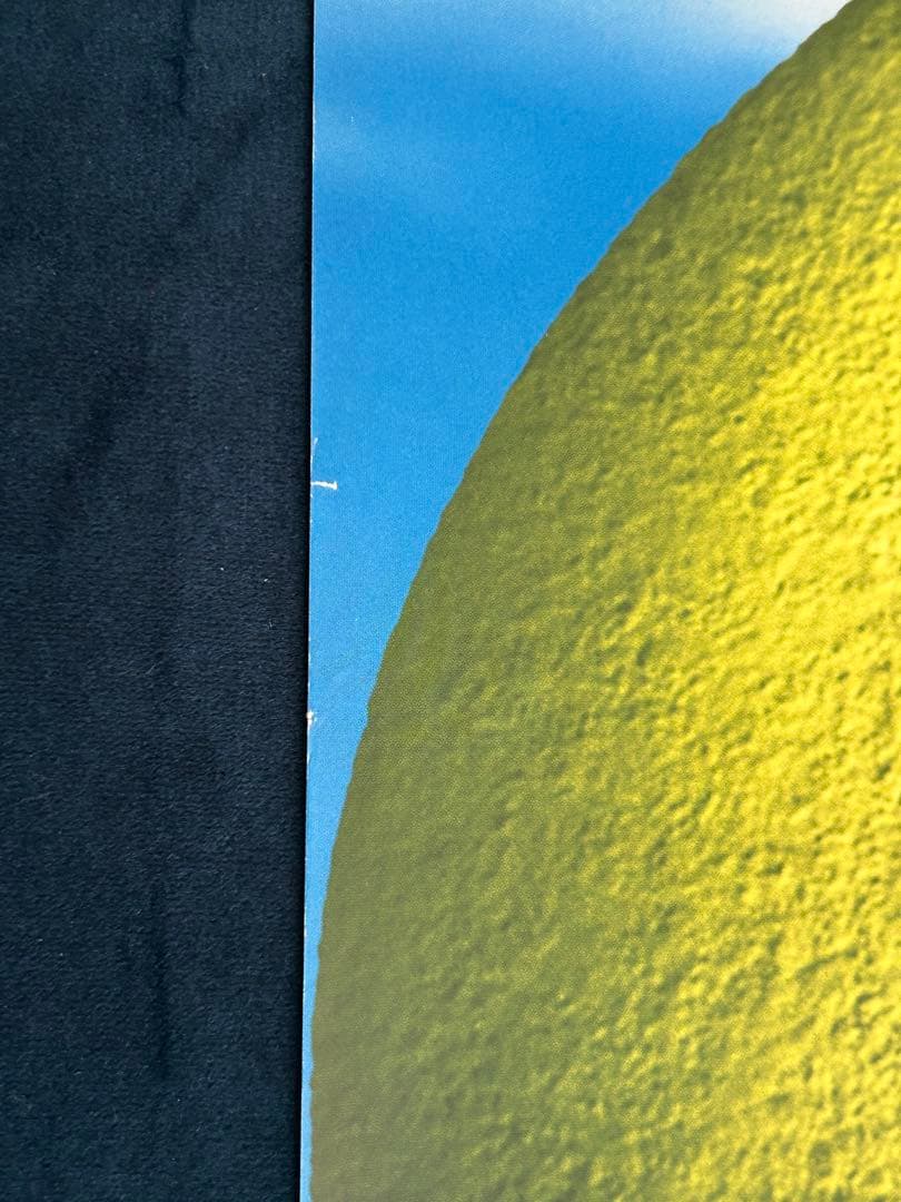 シュレック　USオリジナル映画ポスター