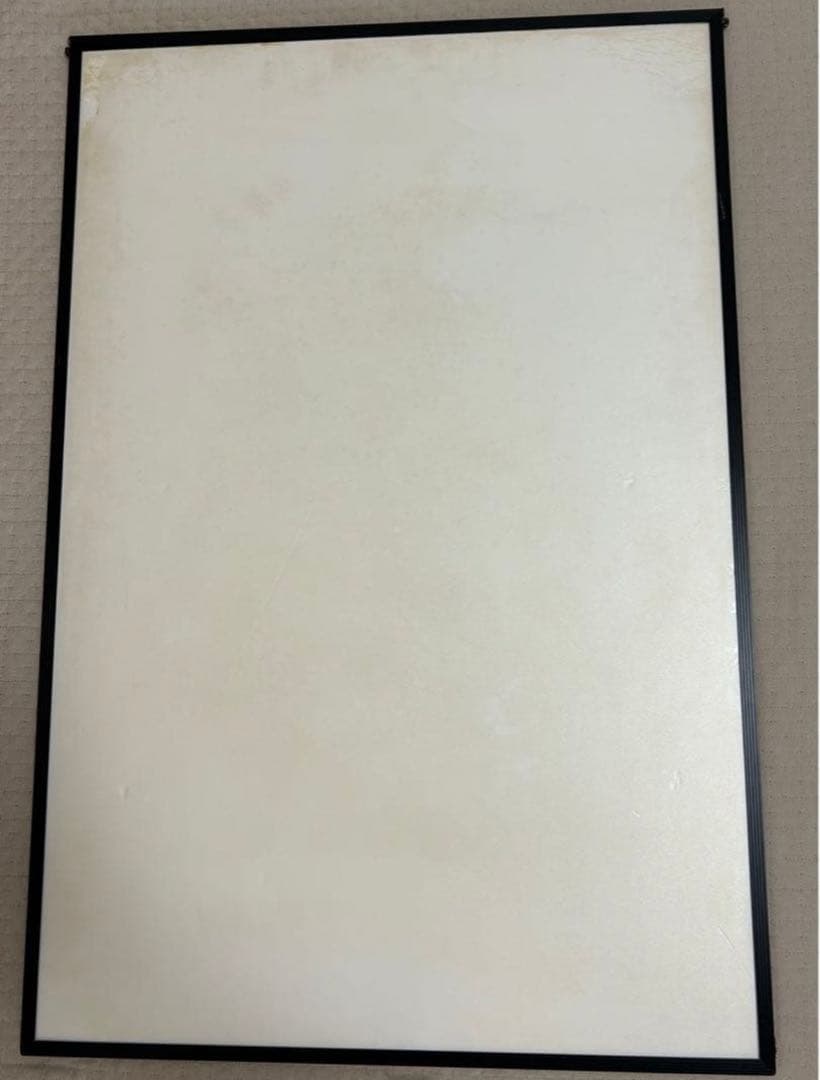 FRANK KOZIK フランク コジック　SONIC YOUTH