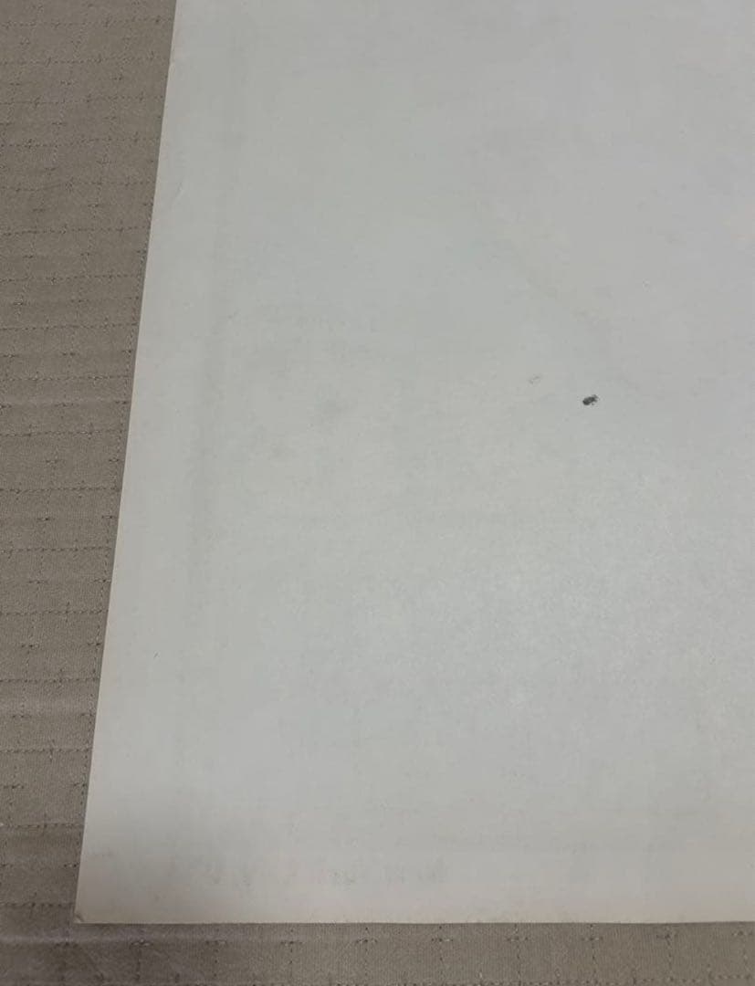 FRANK KOZIK フランク コジック　SONIC YOUTH