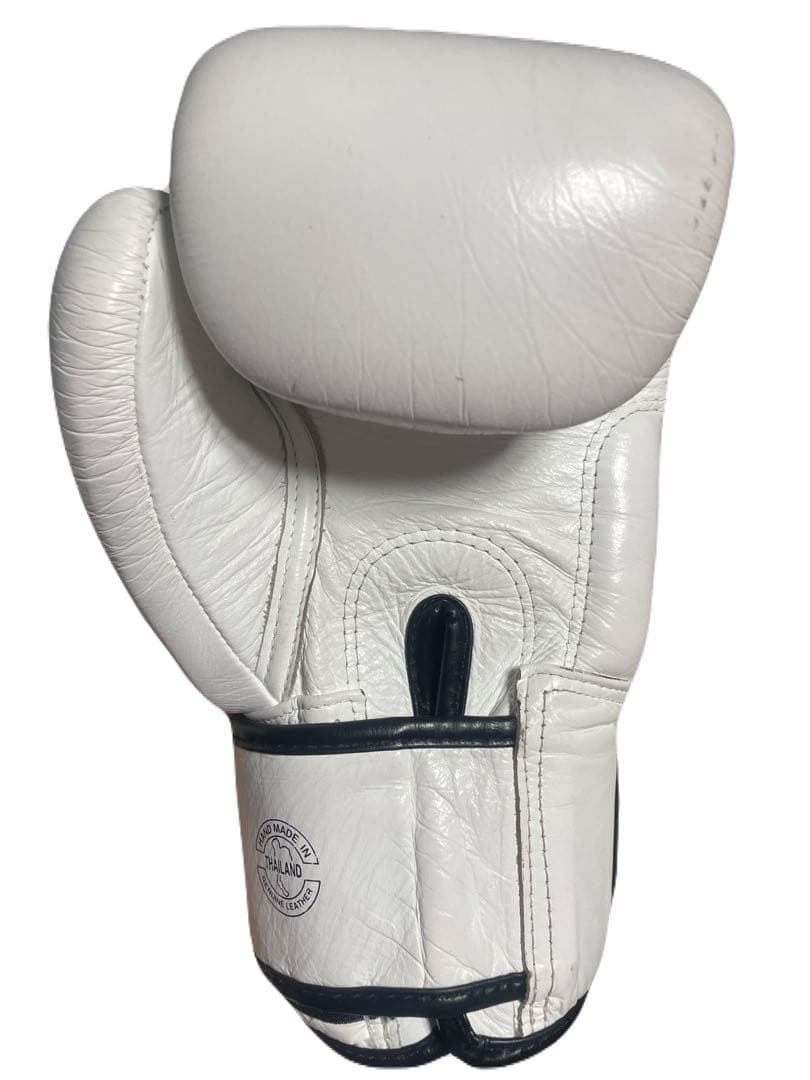 Fairtex ボクシンググローブ・ONE 14オンス