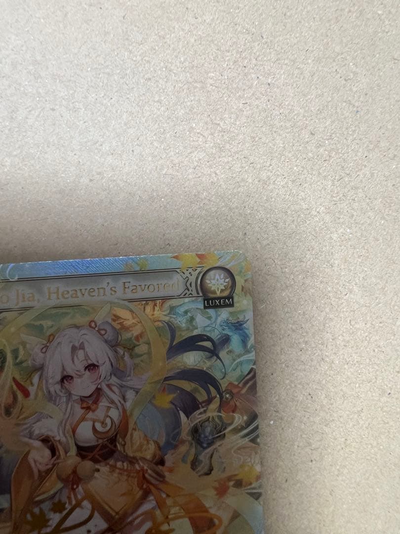 タルモ　Guo Jia CSR grand archive GA