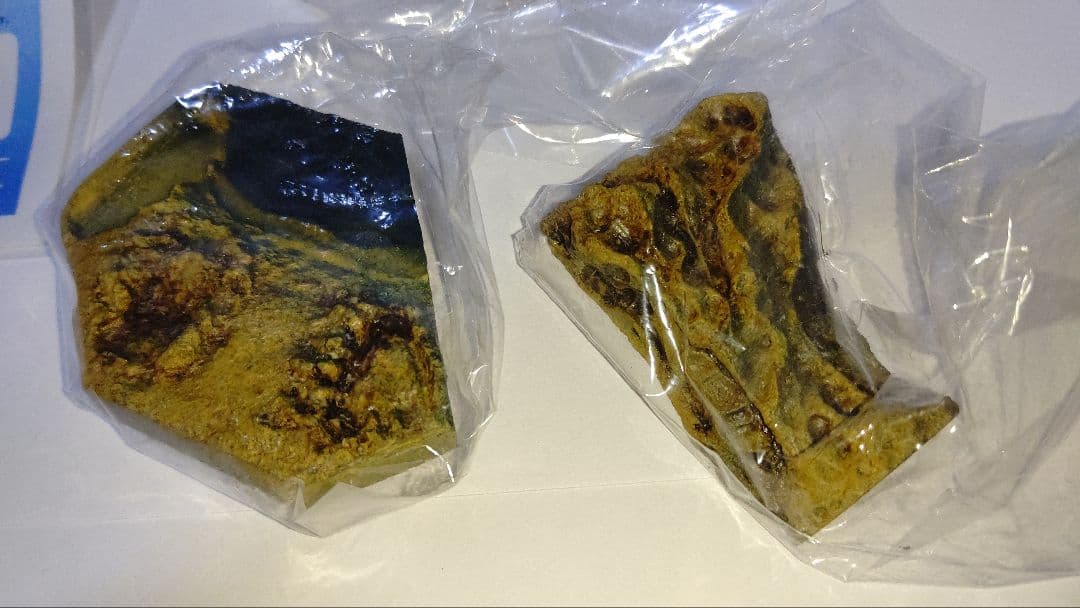 ≪箱説付≫300体限定品 ゴジラ特撮大百科EX 大怪獣バラン 1958