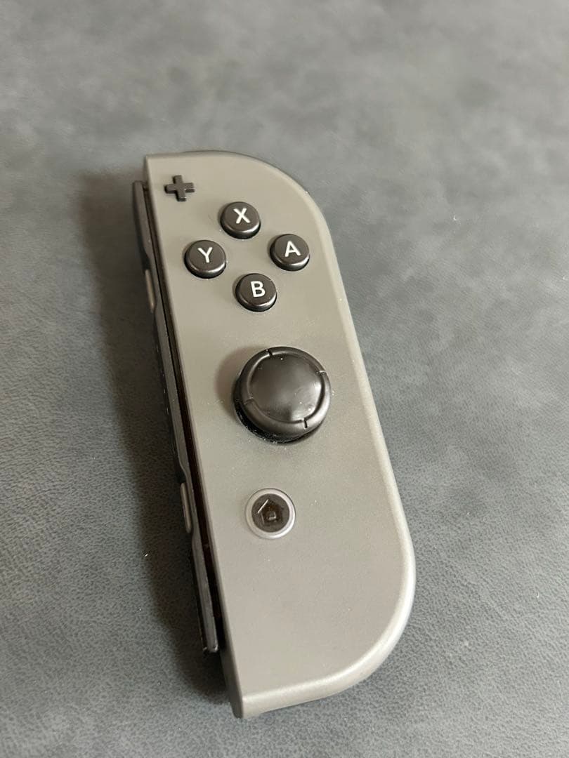 Switch Nintendo Switch グレー　保護ケース付き