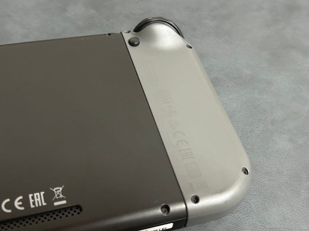 Switch Nintendo Switch グレー　保護ケース付き