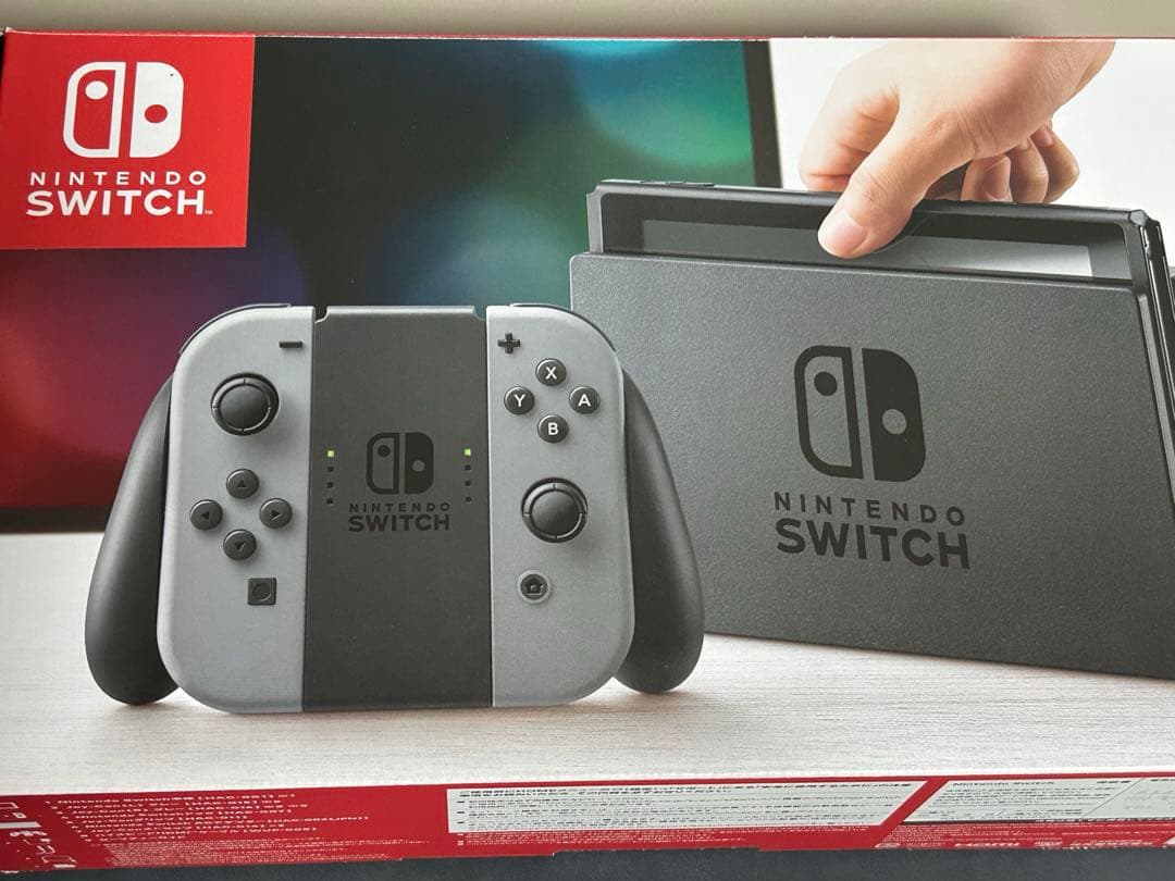 Switch Nintendo Switch グレー　保護ケース付き