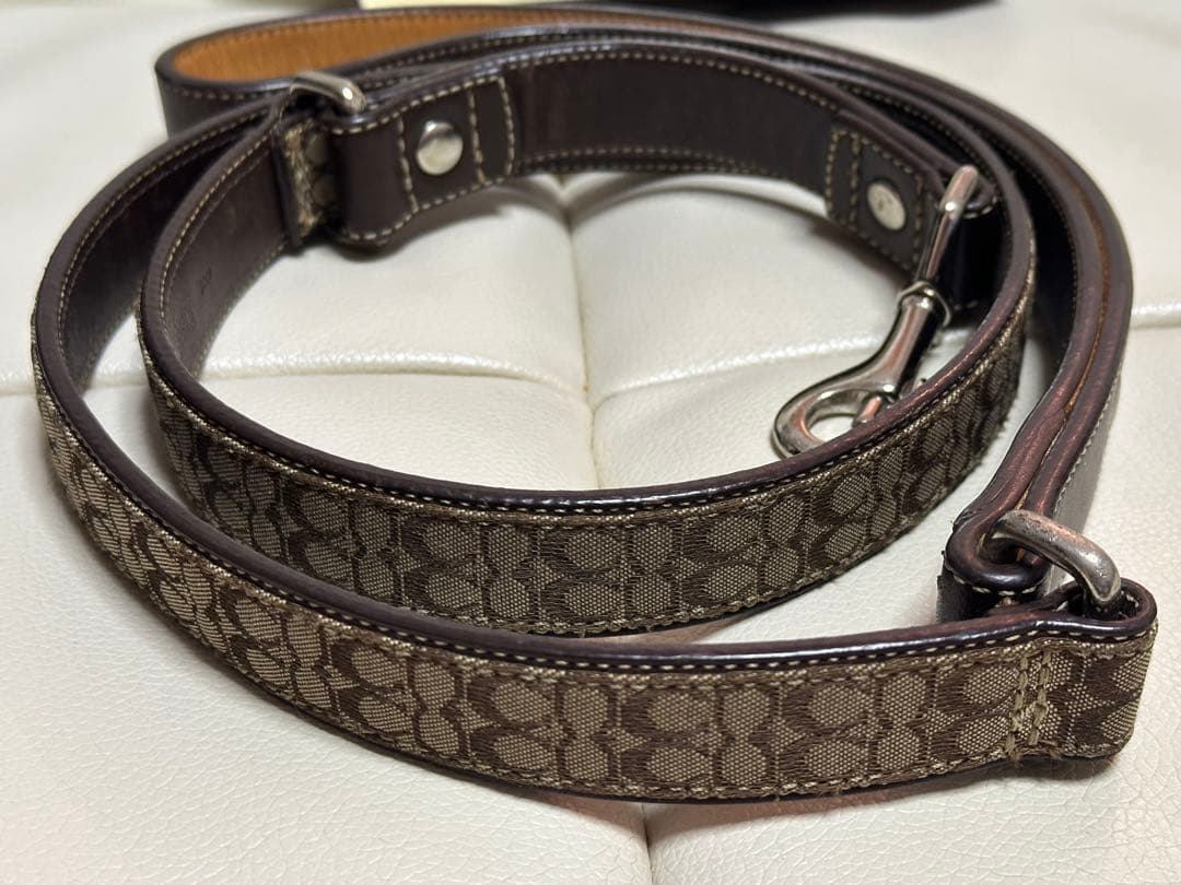 coach 犬首輪、リードセット