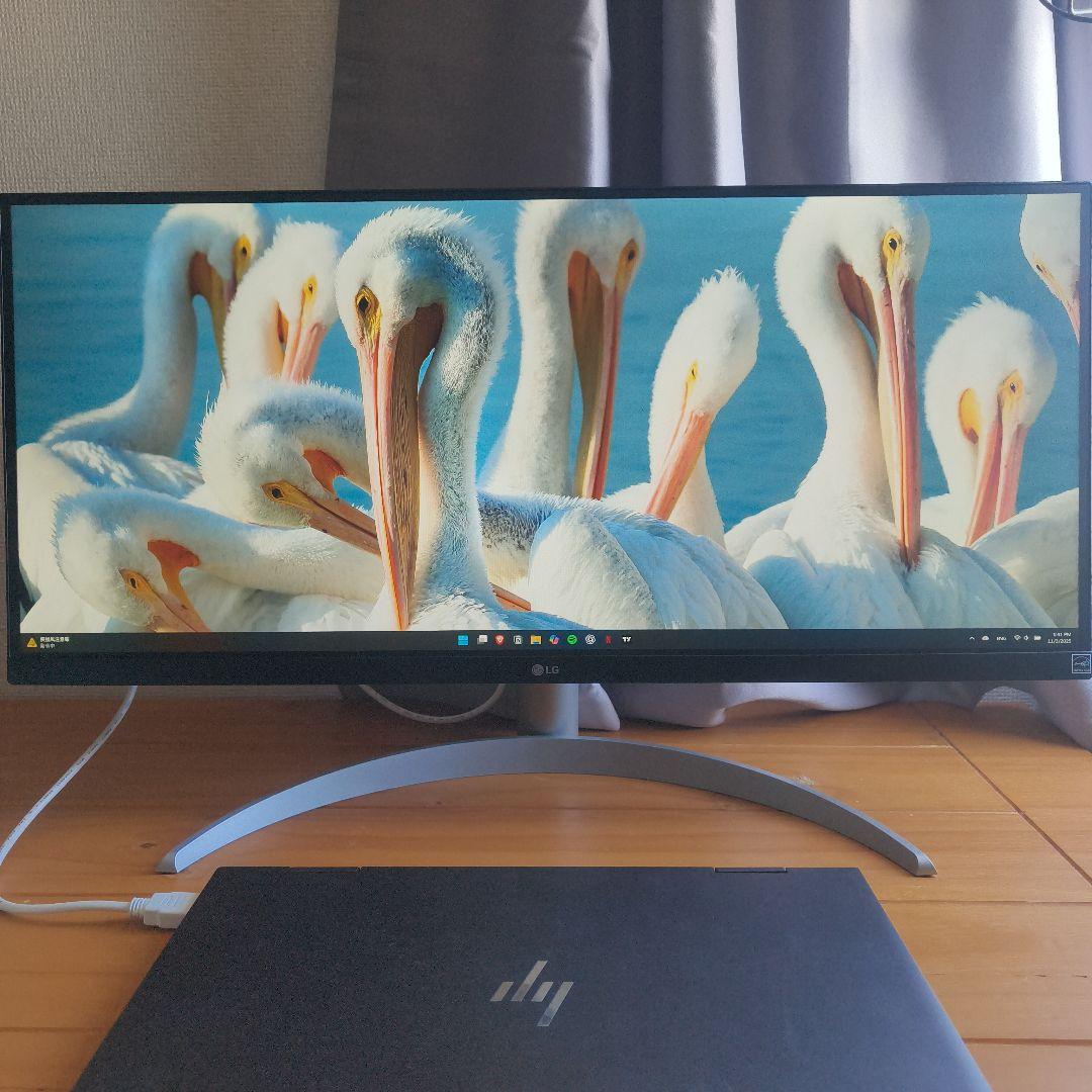 LG ウルトラワイドディスプレイ 本体　29WQ600-W