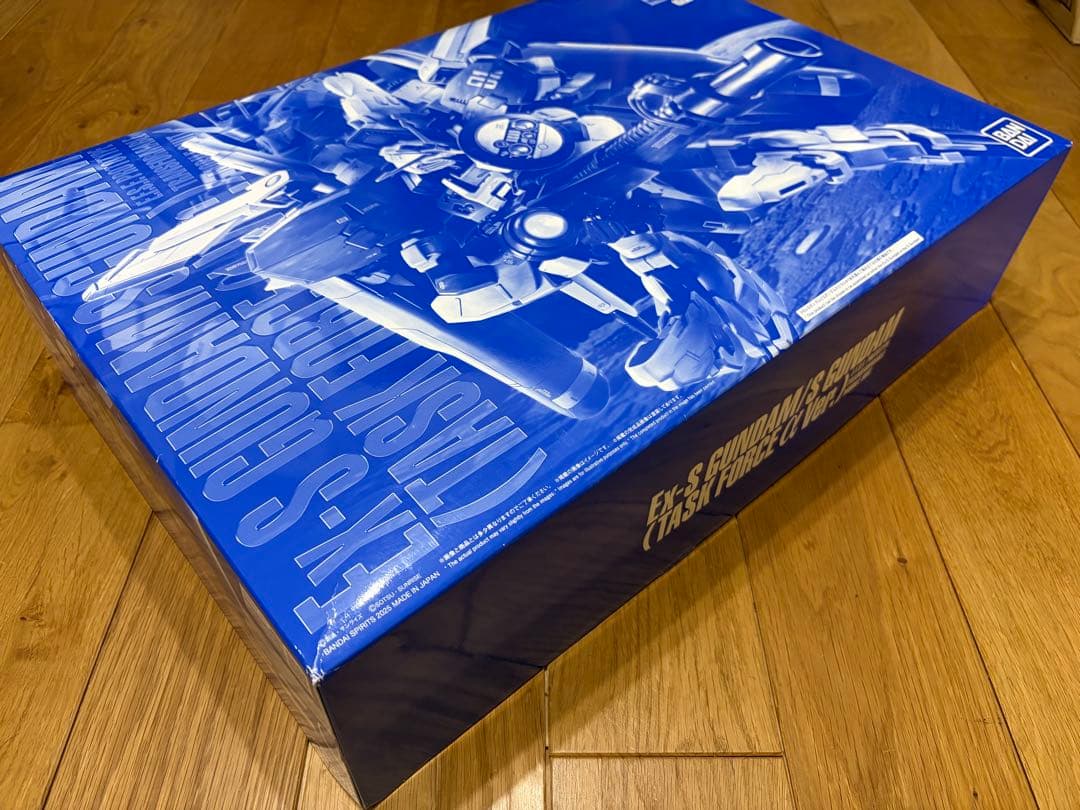 MG 1/100 Ex-Sガンダム/Sガンダム (タスクフォースα Ver.)