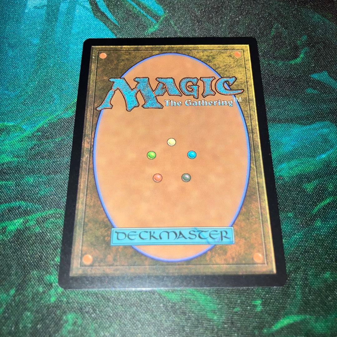 オセロットの群れ