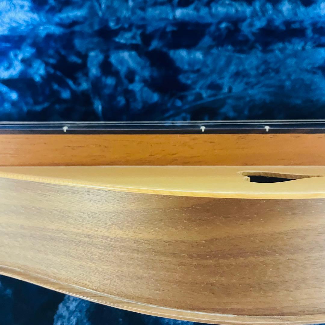 【美品】BLUE LION マウンテンダルシマー　JRW ハードケース付き