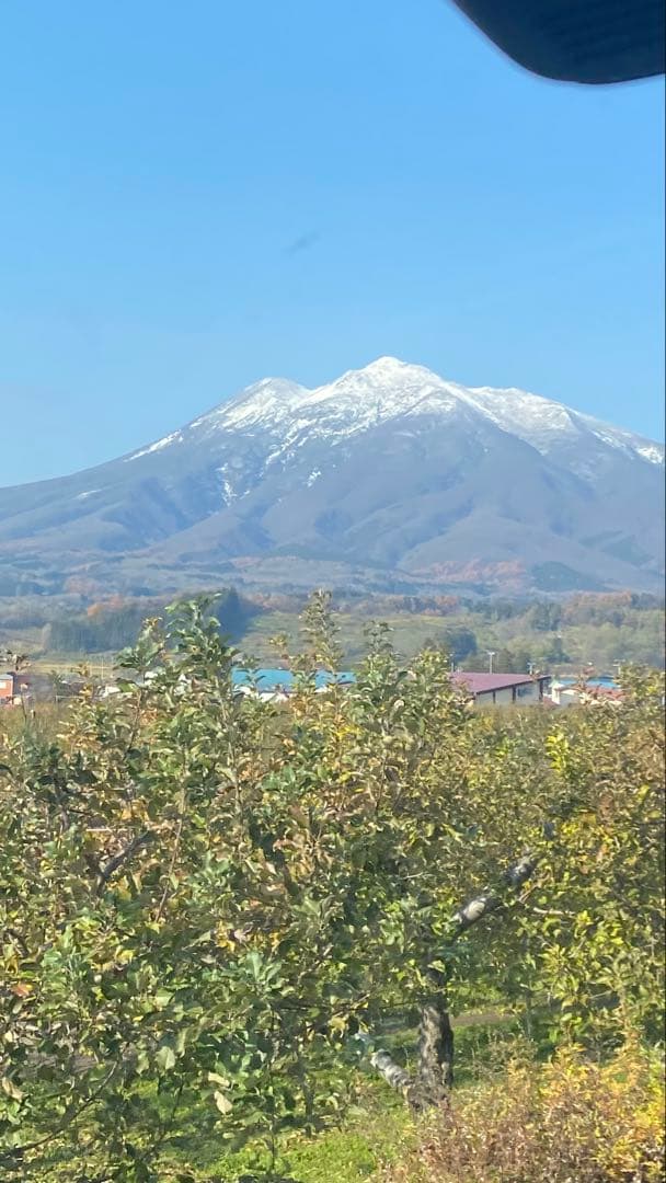 青森県産 りんごジュース 100%ストレートタイプ