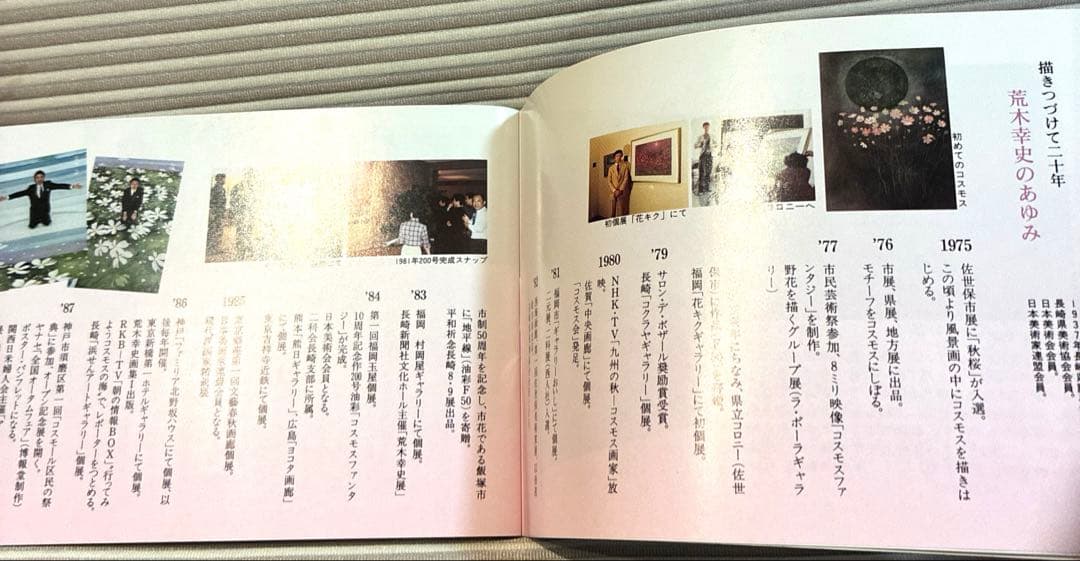 お値引き中　荒木幸史 KOJI コスモス画家 直筆画 絵画 アート1998年