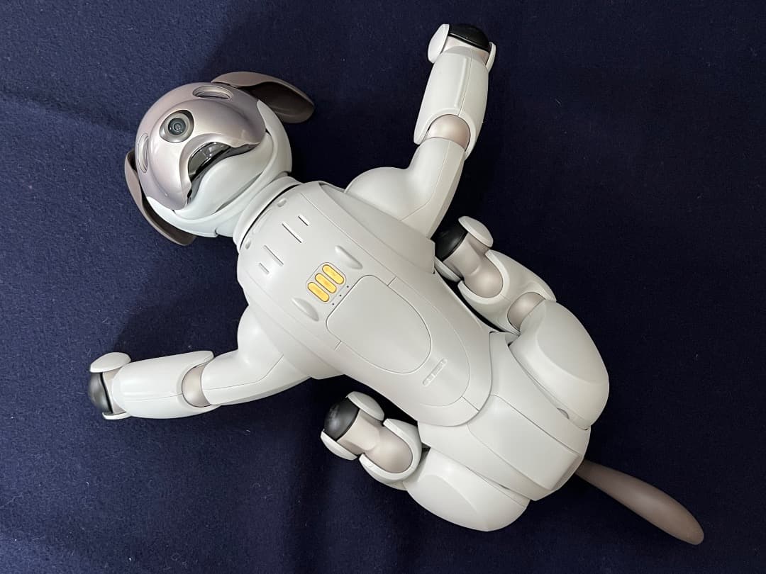 美品　期間限定　ソニーアイボAIBO　アイボリーホワイト　動作確認済【匿名配送】