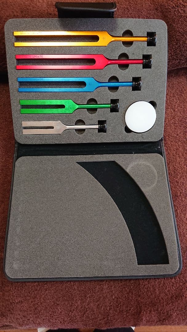 ブレイブ 五行音叉 ブレインアップデート テキスト付き ニチオン