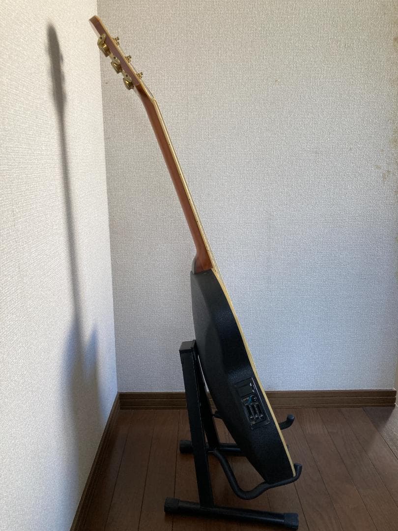 Pro Martin CUSTOM エレアコ EA 450　虎杢