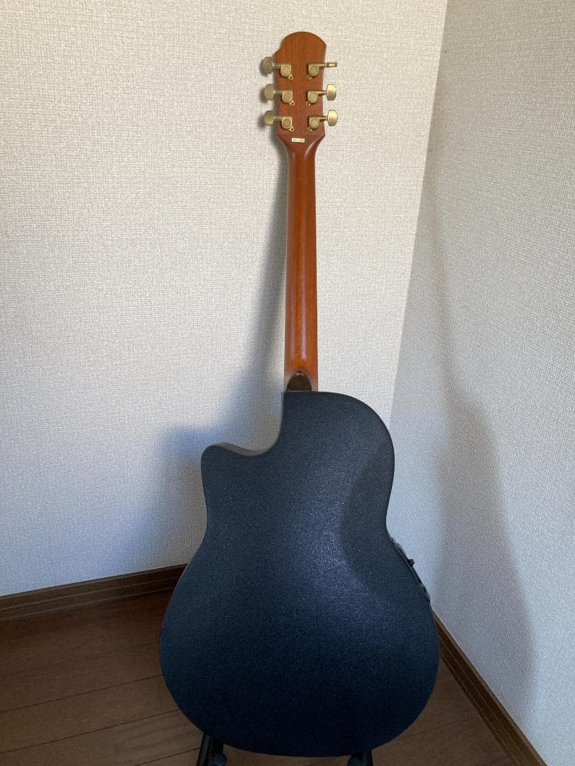 Pro Martin CUSTOM エレアコ EA 450　虎杢