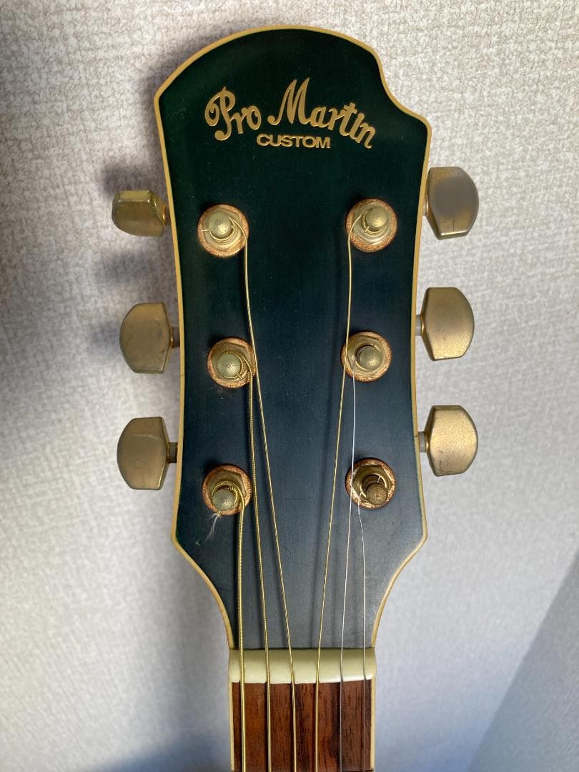 Pro Martin CUSTOM エレアコ EA 450　虎杢