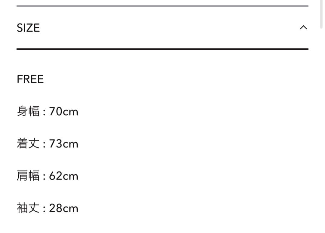 C” MASSIVE S/S T-SHIRT WITH clesste ホワイト