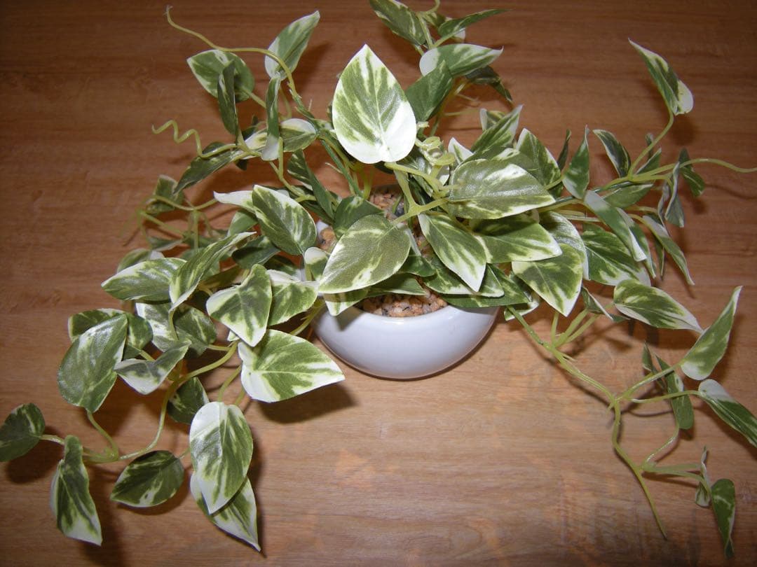 【✨平成レトロ✨】 Nikon COOLPIX P50 コンデジ ブラック