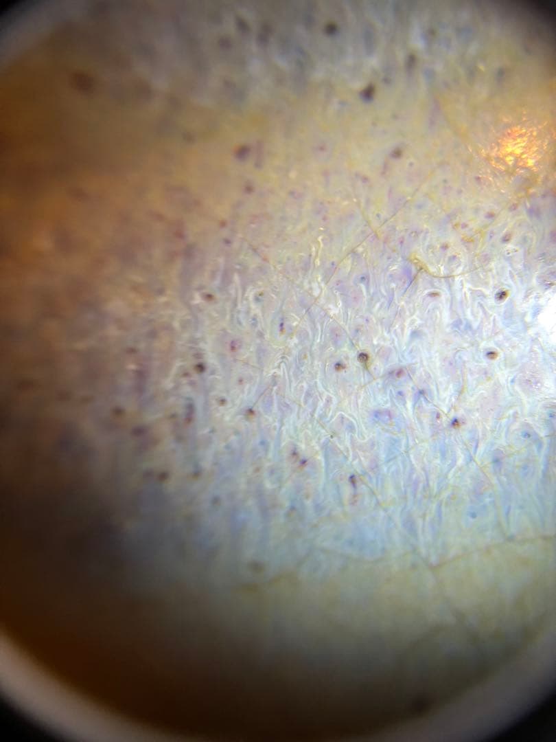 元時代　月白釉　鈞窯　香炉　中国　古美術　貴重