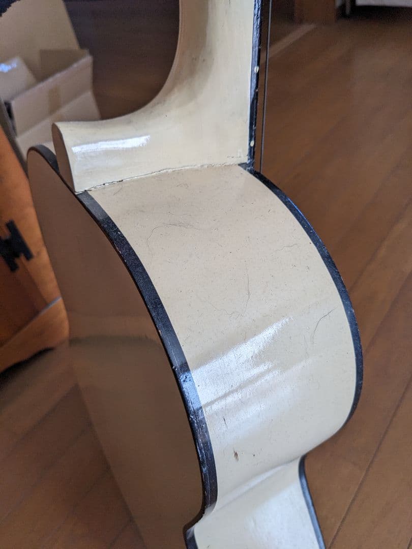 PALOMAアコースティックギター白(⁠ ⁠ꈍ⁠ᴗ⁠ꈍ⁠)