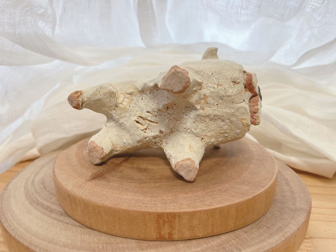 前川幸市　犬　ブルドッグ　置物　陶芸　作家　垂れ耳　白い犬