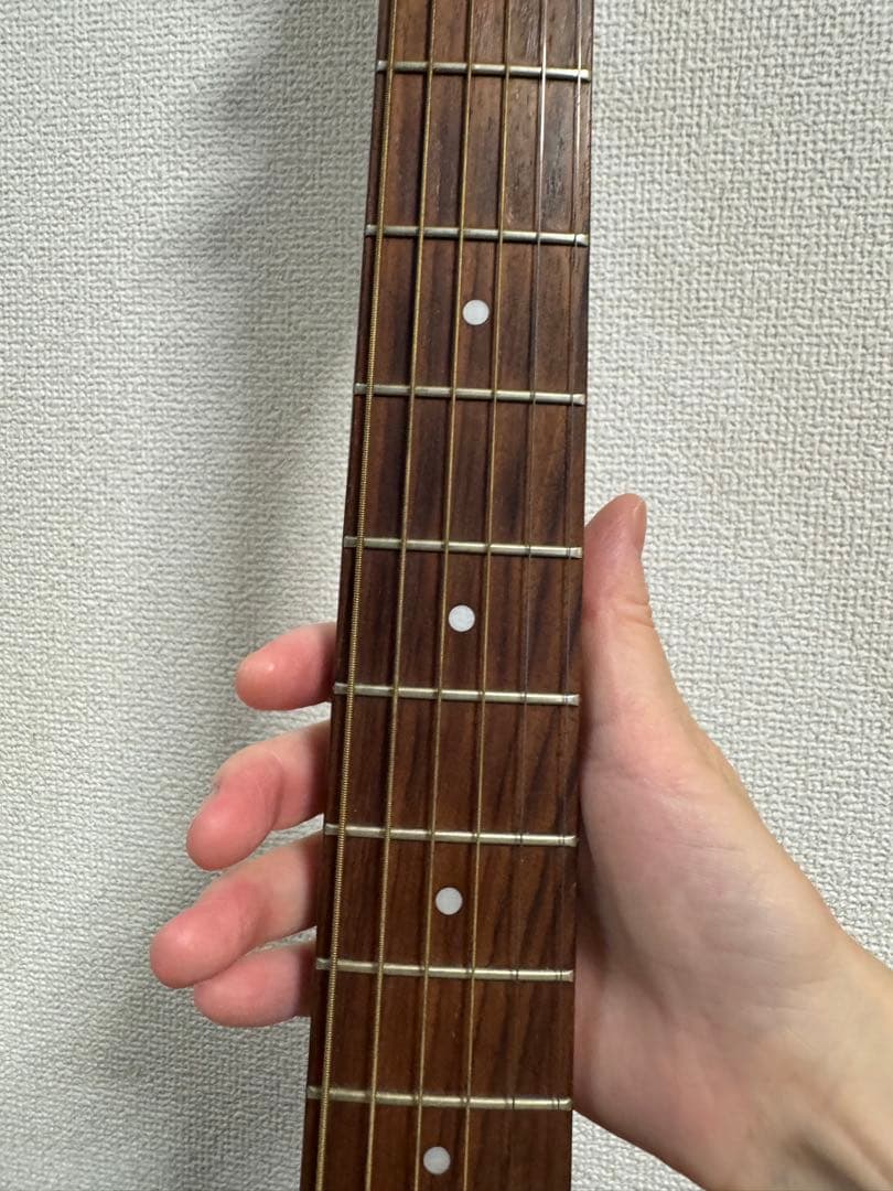 Art & Lutherie cedar アコースティックギター ハードケース付