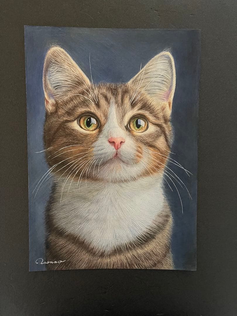 色鉛筆画A4キジシロ38