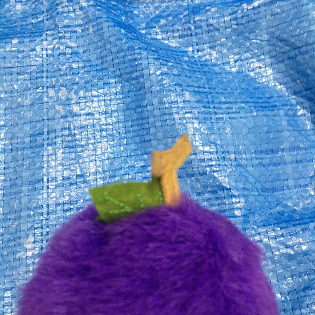 山梨ご当地限定デザイン　モンチッチ