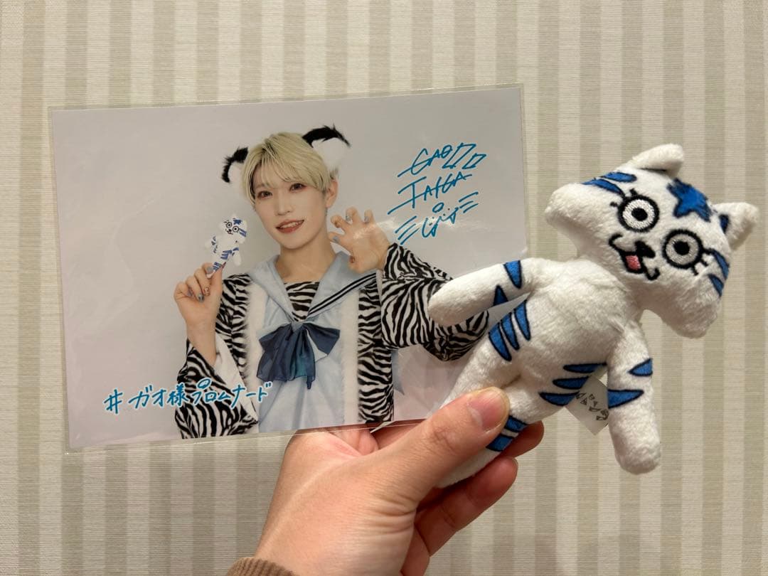 パンダドラゴン たいが ぬいぐるみセット